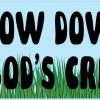 Slow Down Enjoy God's Creations Vinyl Sticker