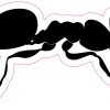 Ant Vinyl Sticker