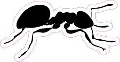 Ant Vinyl Sticker