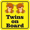 Boy Twins on Board Magnet
