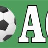 Soccer Coach Magnet