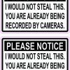 I Would Not Steal This Vinyl Stickers