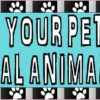Adopt Your Pet Magnet