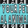 Adopt Your Pet Vinyl Sticker