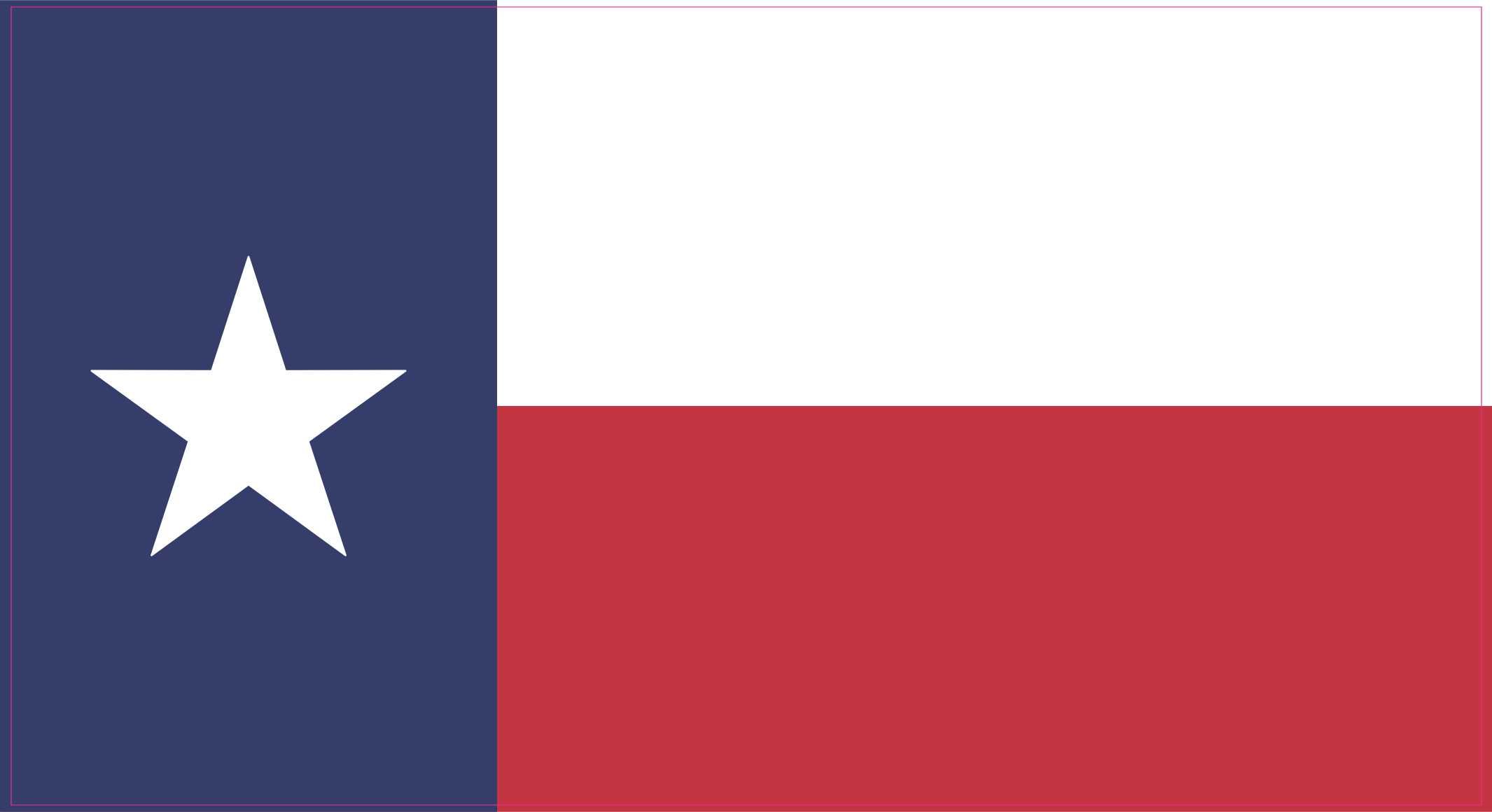 Texas Flag Magnet
