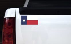 Texas Flag Magnet