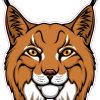 Bobcat Vinyl Sticker
