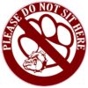Maroon Bulldog Do Not Sit Here Vinyl Sticker