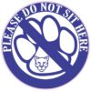 Blue Cougar Do Not Sit Here Vinyl Sticker