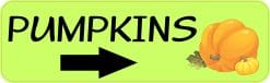 StickerTalk Arrow Pumpkins Magnet, 10 inches x 3 inches
