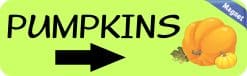 Alternative view of StickerTalk Arrow Pumpkins Magnet, 10 inches x 3 inches
