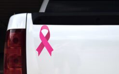 Pink Breast Cancer Awareness Ribbon Vinyl Sticker