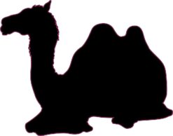 Camel Silhouette Vinyl Sticker