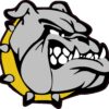 Right Facing Gold Collared Bulldog Vinyl Sticker
