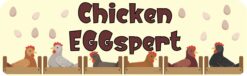 Hens Chicken Eggspert Vinyl Sticker