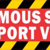 Venomous Snake Transport Vehicle Magnet