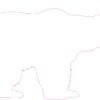 Right Facing White Bear Vinyl Sticker