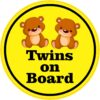 Girl Twins on Board Vinyl Sticker