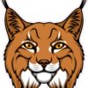 Bobcat Mascot Vinyl Sticker