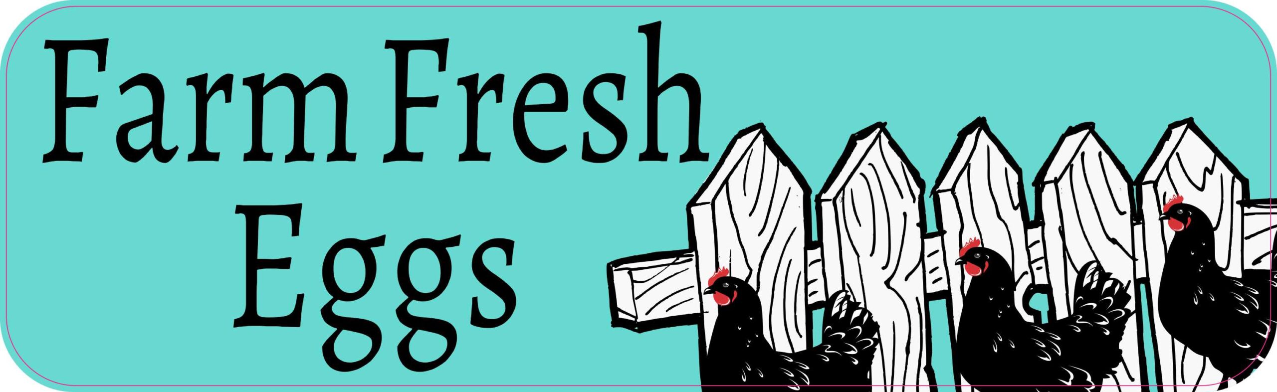 Farm Fresh Eggs Magnet