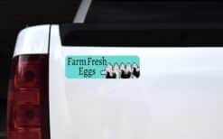 StickerTalk Teal Farm Fresh Eggs Magnet, 10 inches x 3 inches