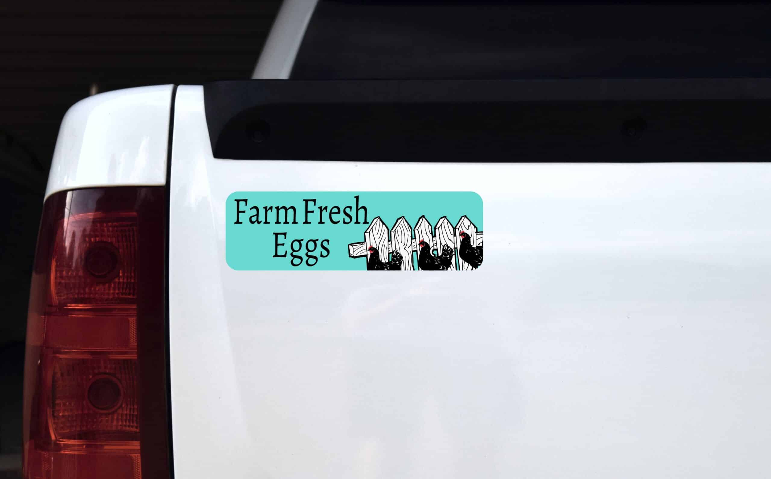 StickerTalk Teal Farm Fresh Eggs Magnet, 10 inches x 3 inches