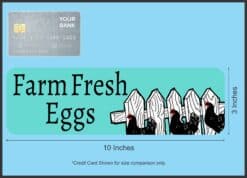 StickerTalk Teal Farm Fresh Eggs Magnet, 10 inches x 3 inches