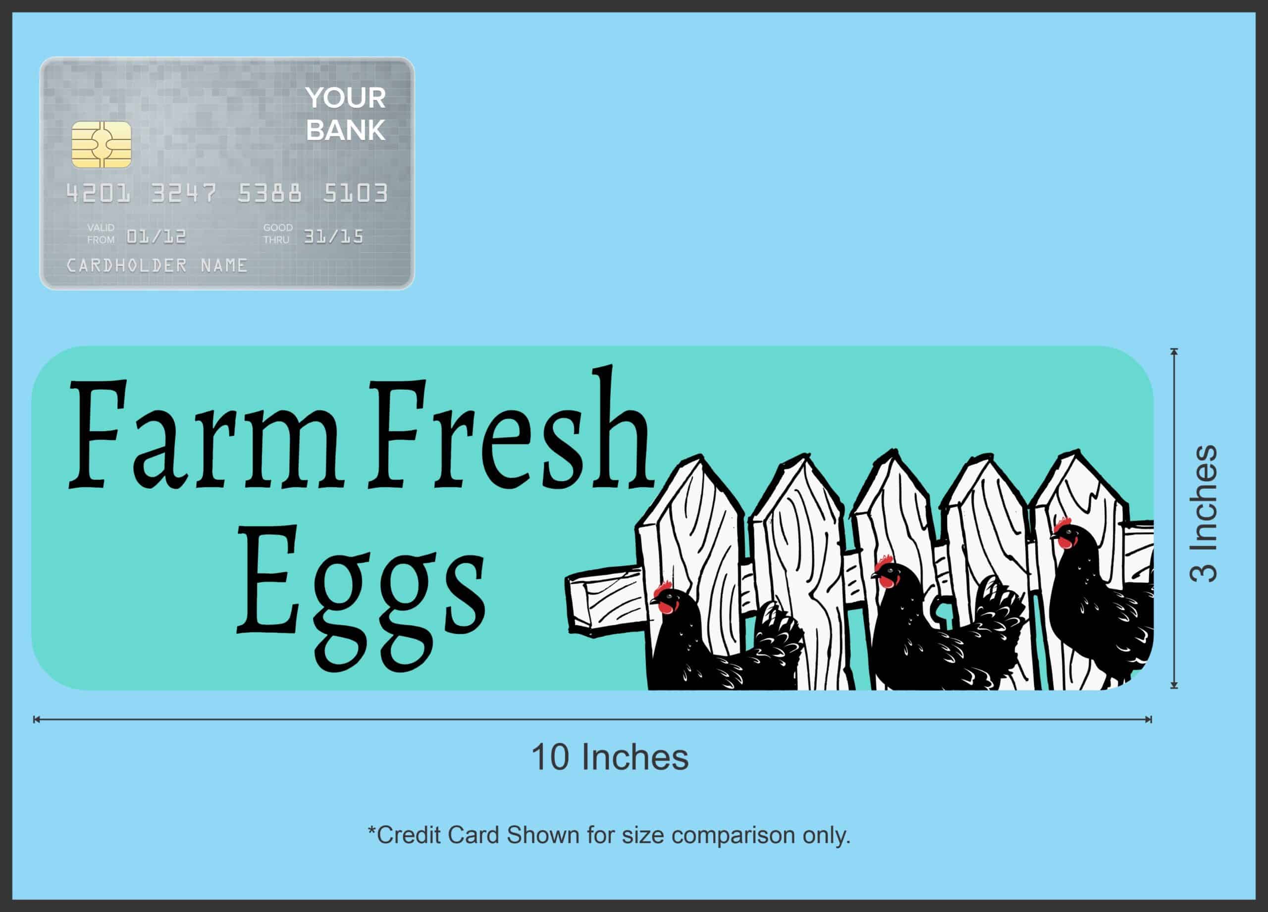 StickerTalk Teal Farm Fresh Eggs Magnet, 10 inches x 3 inches