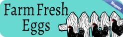 StickerTalk Teal Farm Fresh Eggs Magnet, 10 inches x 3 inches