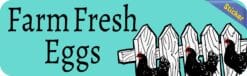 StickerTalk Teal Farm Fresh Eggs Vinyl Sticker, 10 inches x 3 inches