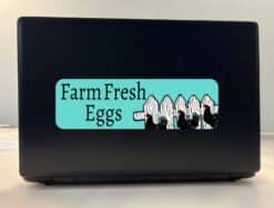 StickerTalk Teal Farm Fresh Eggs Vinyl Sticker, 10 inches x 3 inches