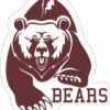 Brown Bears Mascot Vinyl Sticker