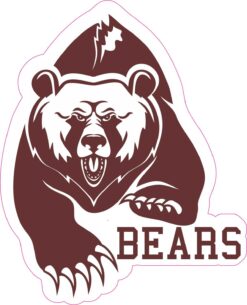 Brown Bears Mascot Vinyl Sticker