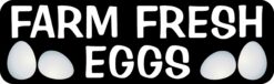 Farm Fresh Eggs Magnet