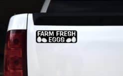 StickerTalk Farm Fresh Eggs Vinyl Sticker, 10 inches x 3 inches