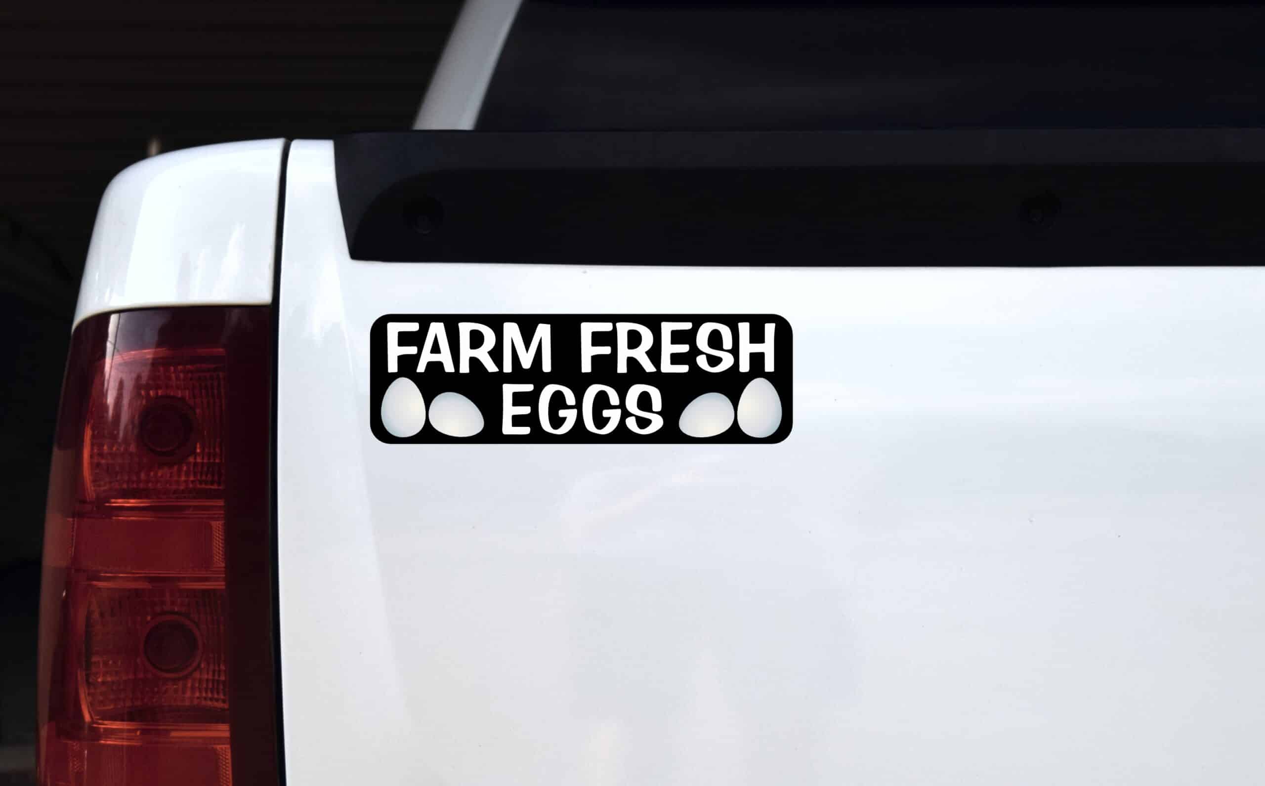 StickerTalk Farm Fresh Eggs Vinyl Sticker, 10 inches x 3 inches
