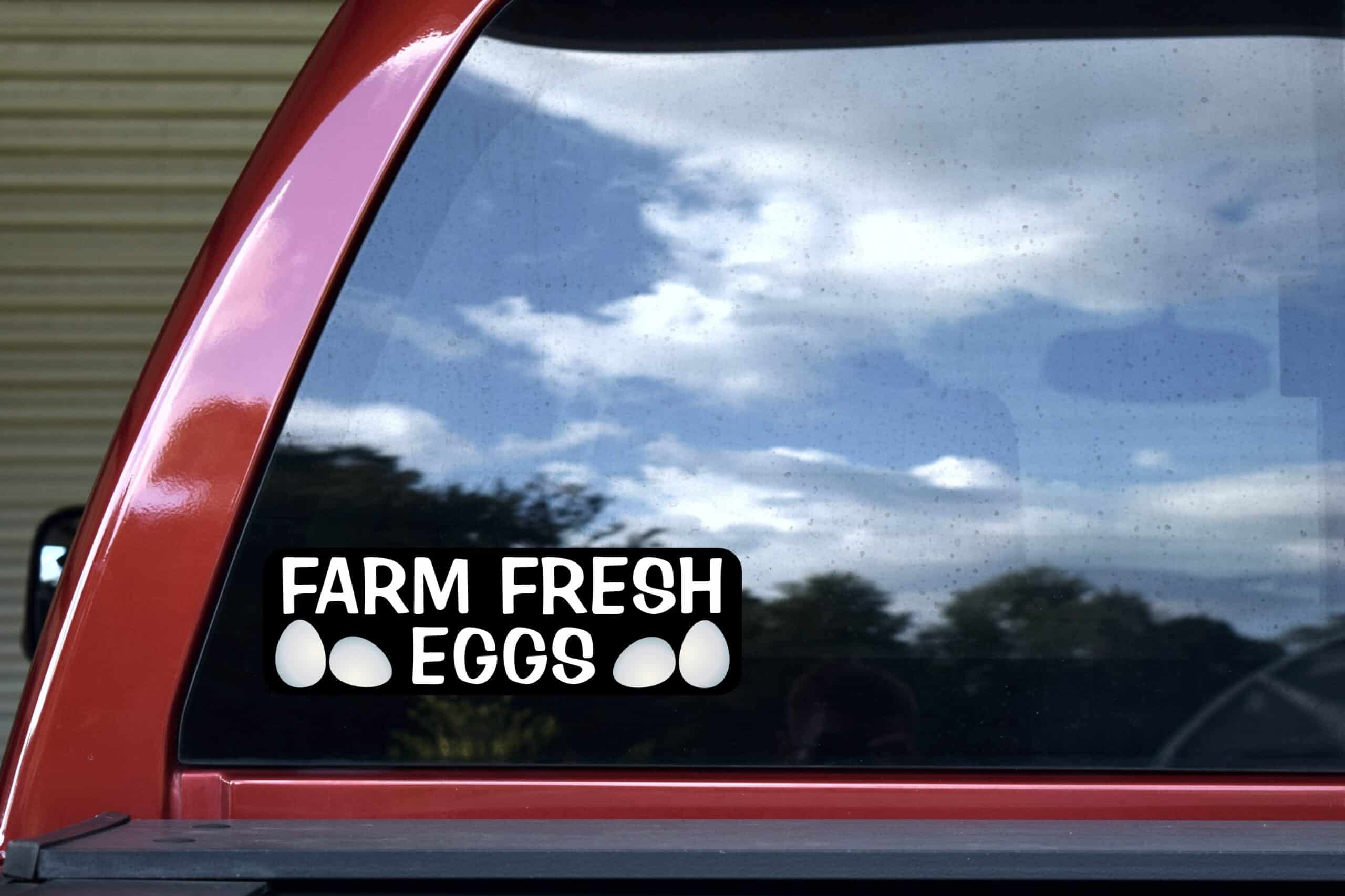 StickerTalk Farm Fresh Eggs Vinyl Sticker, 10 inches x 3 inches