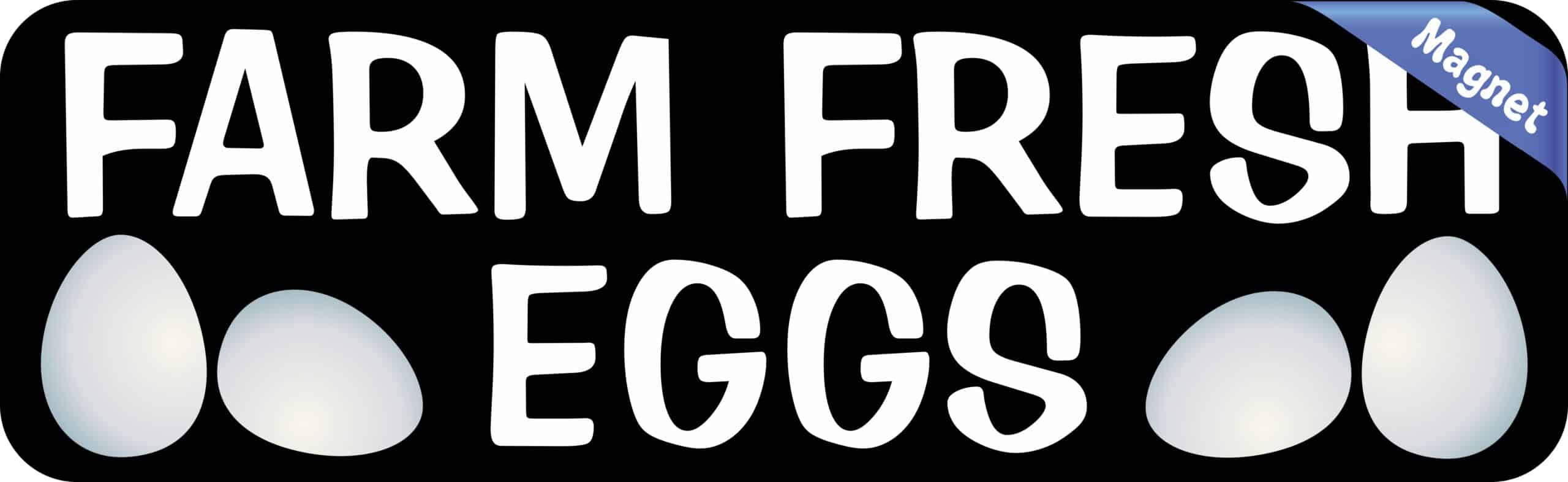 StickerTalk Farm Fresh Eggs Magnet, 10 inches x 3 inches