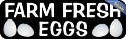 StickerTalk Farm Fresh Eggs Vinyl Sticker, 10 inches x 3 inches