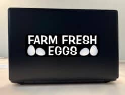 StickerTalk Farm Fresh Eggs Vinyl Sticker, 10 inches x 3 inches