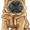 Shar Pei Vinyl Sticker