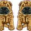Shar Pei Vinyl Stickers
