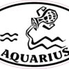 Oval Aquarius Vinyl Sticker