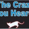 Im the Crazy Cat Lady Vinyl Sticker