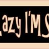 Sloth Not Lazy Im Slow Vinyl Sticker