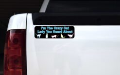 Im the Crazy Cat Lady Vinyl Sticker