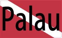 Palau Dive Flag Magnet