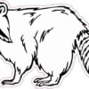 Black and White Raccoon Vinyl Sticker