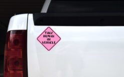 Pink Tiny Human in Vehicle Vinyl Sticker