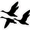 Silhouette Ducks Vinyl Sticker